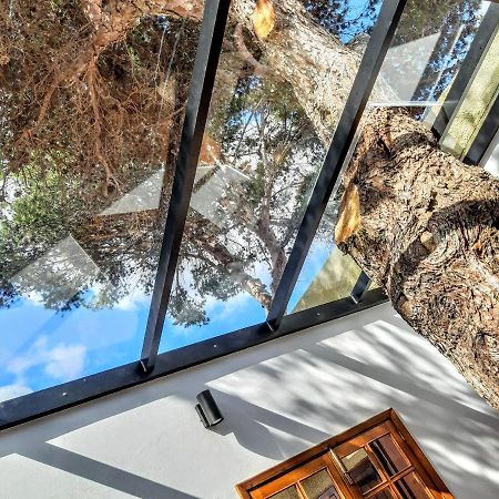 Beach Tree House Porto Santo Ngoại thất bức ảnh