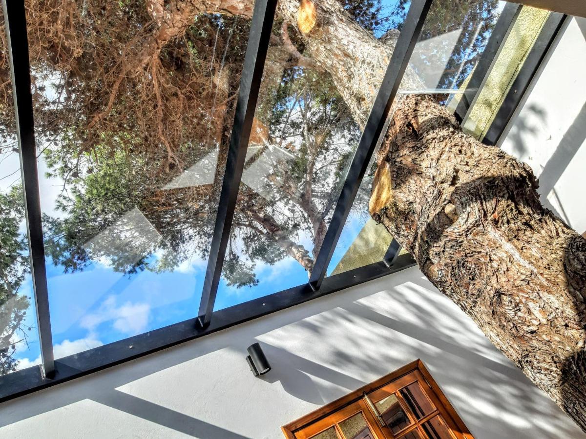 Beach Tree House Porto Santo Ngoại thất bức ảnh