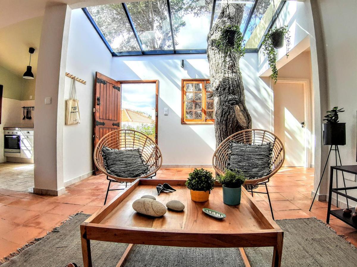 Beach Tree House Porto Santo Ngoại thất bức ảnh