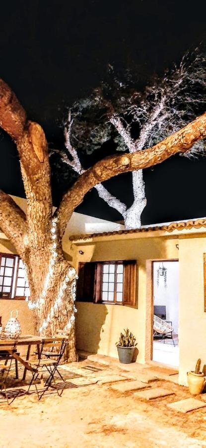 Beach Tree House Porto Santo Ngoại thất bức ảnh